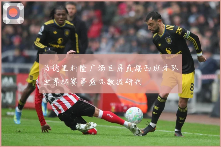 马德里科隆广场巨屏直播西班牙队世界杯赛事盛况数据研判