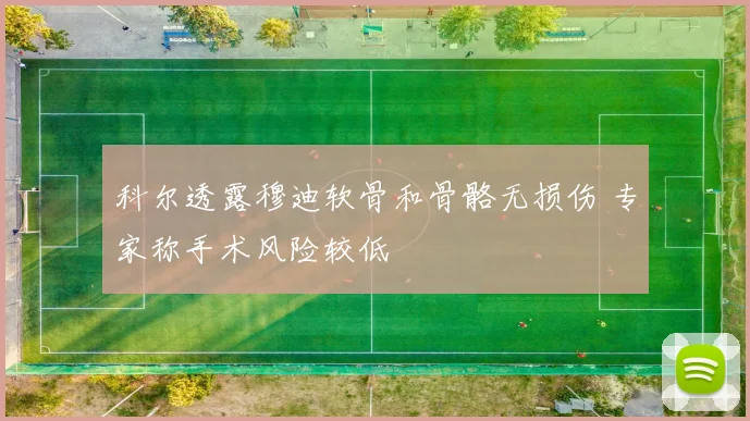 科尔透露穆迪软骨和骨骼无损伤 专家称手术风险较低