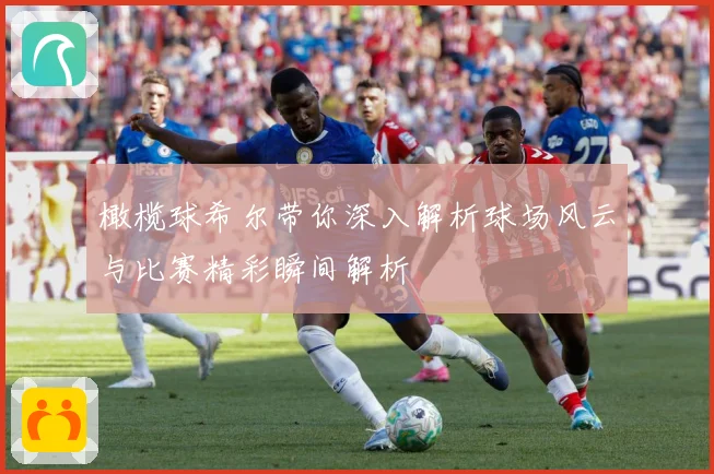 橄榄球希尔带你深入解析球场风云与比赛精彩瞬间解析