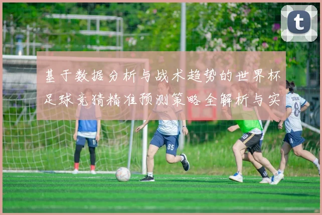 基于数据分析与战术趋势的世界杯足球竞猜精准预测策略全解析与实战指南