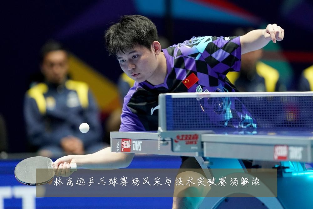 林高远乒乓球赛场风采与技术突破赛场解读