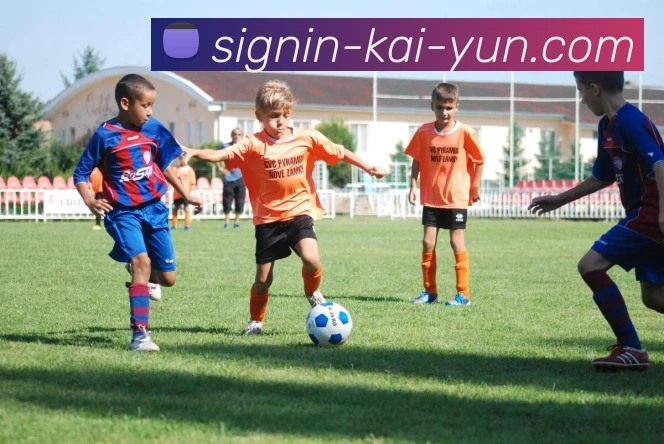 开云官网全站App